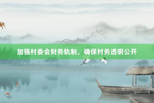 加强村委会财务轨制，确保村务透明公开