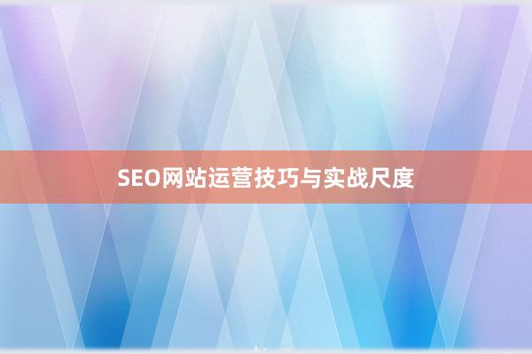 SEO网站运营技巧与实战尺度