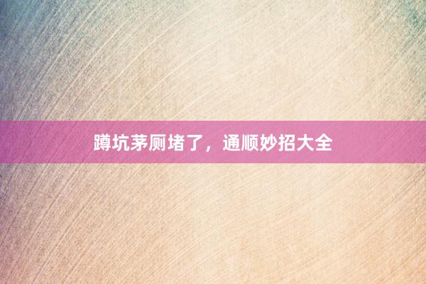 蹲坑茅厕堵了,通顺妙招大全
